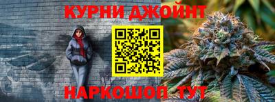 сатива Краснознаменск