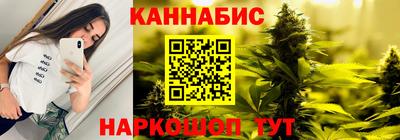 сатива Краснознаменск