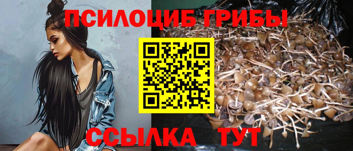 Бошки Шишки Камышин