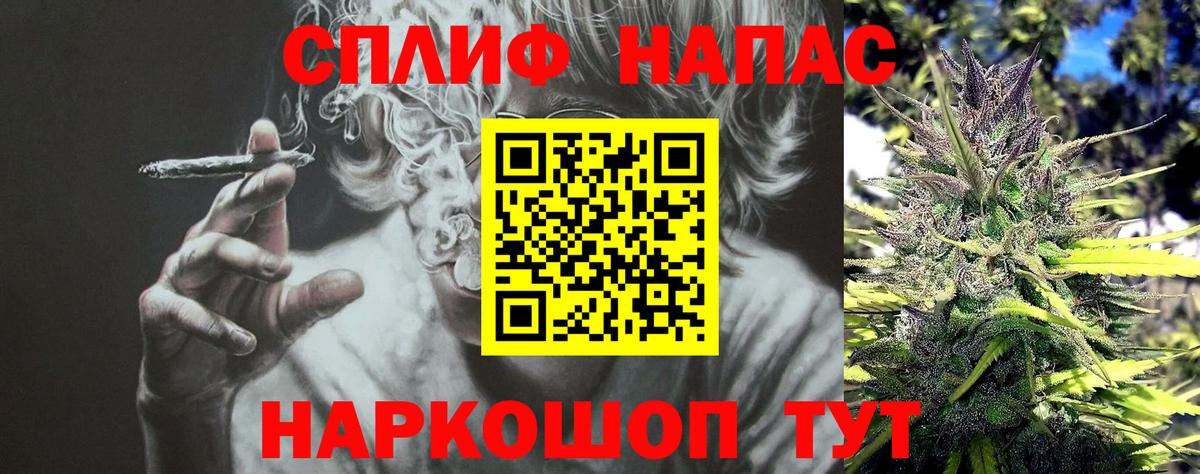 МАРИХУАНА планчик  Конопля VHQ  Камышин  Конопля марихуана  Вход с VPN 